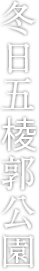 冬日五棱郭公園